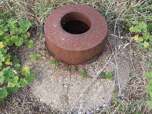 Alderney, M4 Wn Dohlenfest