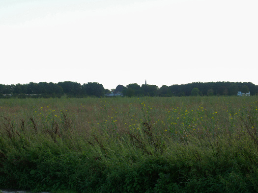 RAF Zeals