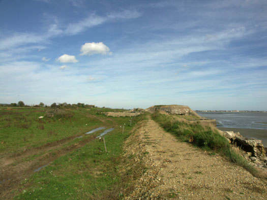 Wn25 Morsalines la Redoute
