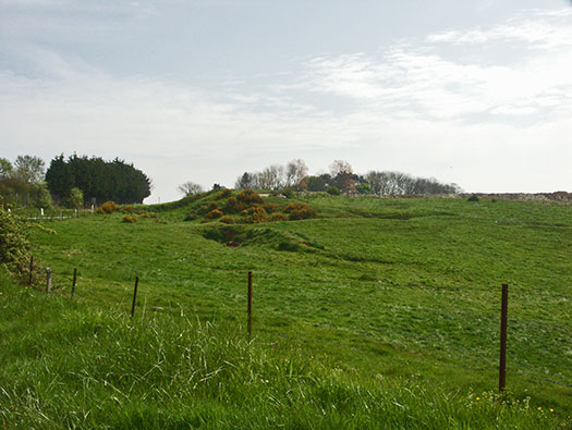 Die010 Mont Robin