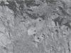 1947 picture.