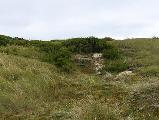 Wn333 St Remy des Landes Plage