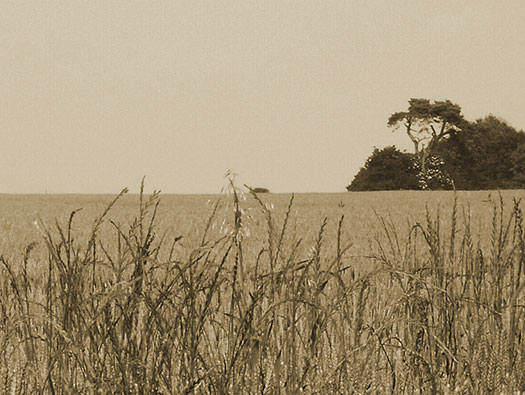 RAF Clyffe Pypard