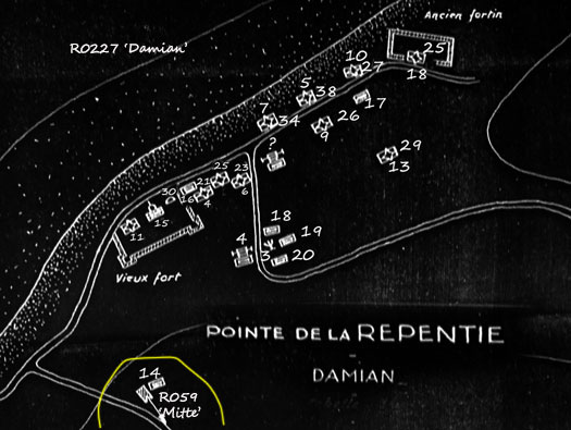 Ro227 Pte de Queille 'Damian'