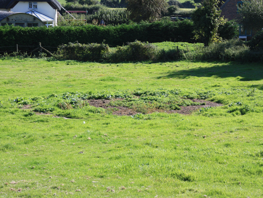 N18 Searchlight Site