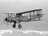 Fairey Albacore.