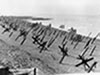 More beach defences.