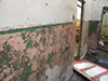Colour of an office.