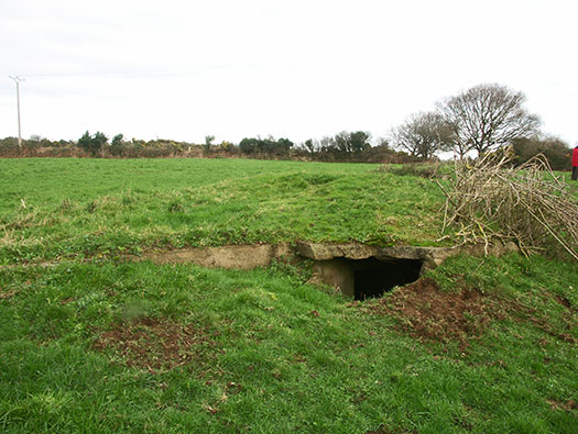 Wn165 Cosqueville étang du Pelat