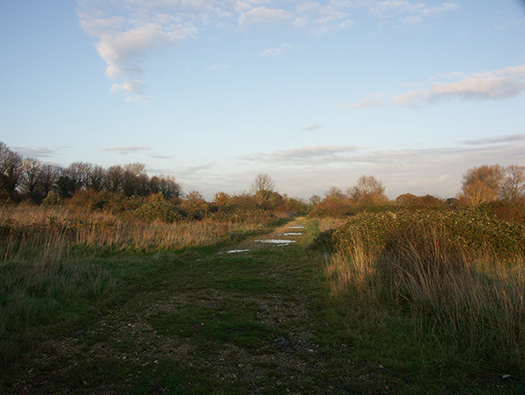 RAF Calshot