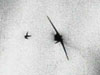 Perils of air fighting.