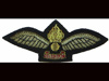 Air Observation Post pilot Royal Artillery Officers mess kit badge.