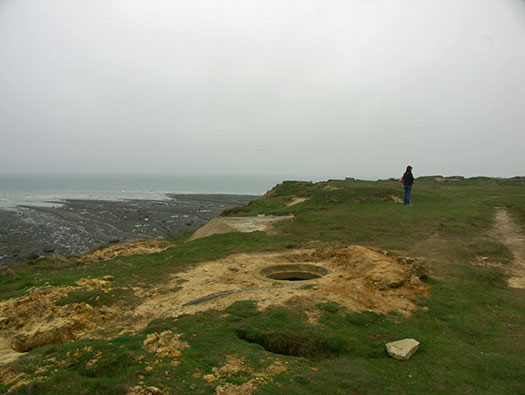 StP207 Fischreiher