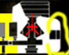 Flanking wall, inside the yellow ring.