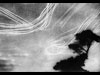 Chattis Hill Spitfire Production