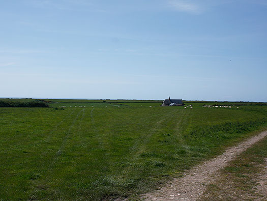 RAF Bolt Head