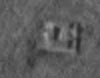 Ro227 Pte de Queille 'Damian'