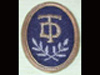 Org. Todt arm badge.