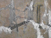 Alan Taylor  
    Lettering/markings on the entrance?