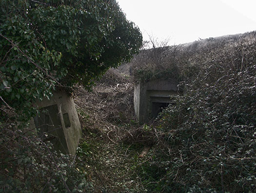 Wn60 Colleville-sur-Mer, (Omaha Beach)
