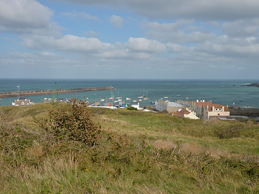 Alderney, M5 Wn 'Hafen-Süd'