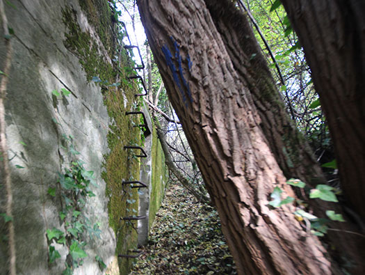 Führerhauptquartier‘Wolfsschlucht 2’ Flakstellung ‘16’