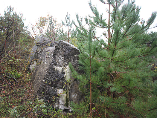 StP Orakel, St Gabriel est