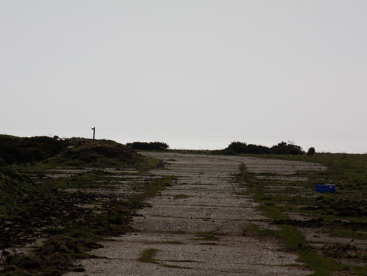 RAF Dale/RNAS Goldcrest