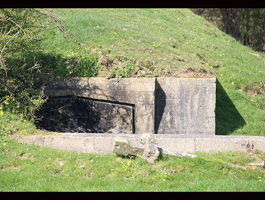 StP179 Stöllberg, Noir Bois