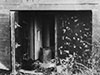 Steel rear doors that should be placed but often were not.