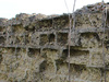 Brickwork wall all that is left of one building.