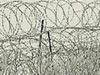 Barbed wire and posts.