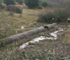 A large drainage pipe at RAF Stoney Cross showing the lengths they went to when building airfields.