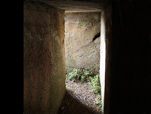 Wn307 Fort des Rochers du Var ou Fort St Martin.