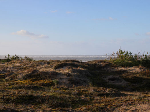 Gi05 'Annaberg' Point Espagnol
