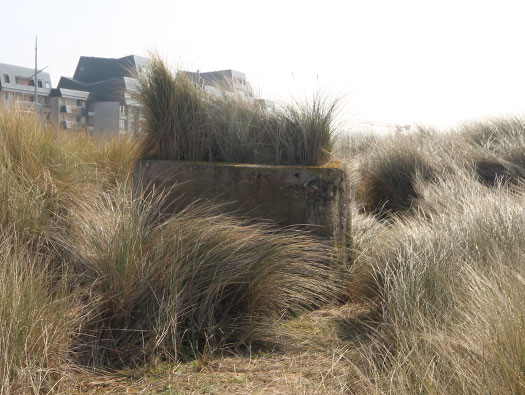 Stp31 Courseulles
