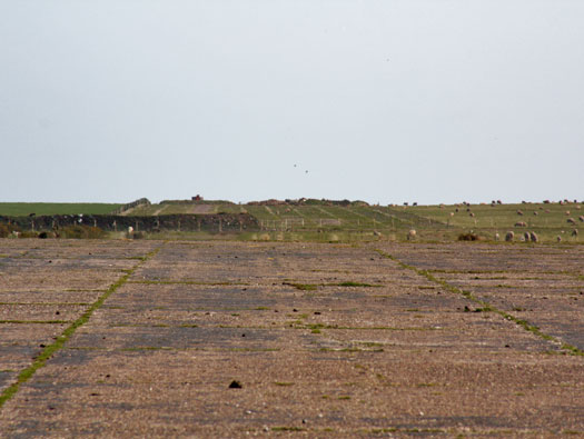 RAF Dale/RNAS Goldcrest
