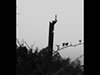 German Picket Post 'Eisenpfahel'.
