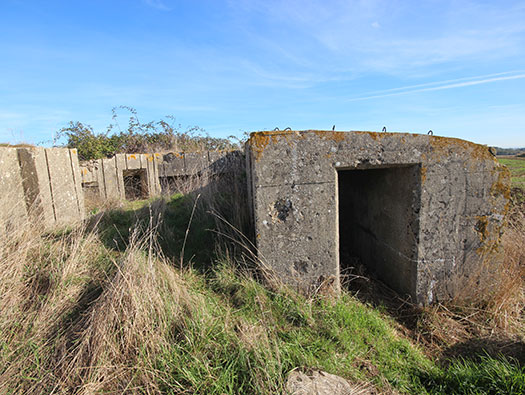 StP Douvres (ii), Distelfink