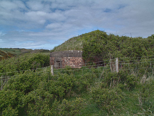 RAF Cleave