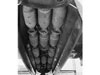 Bomb bay.
