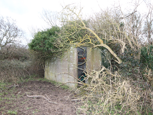 Wn349 Auderville la Roche, Luftwaffe station "Ammer".