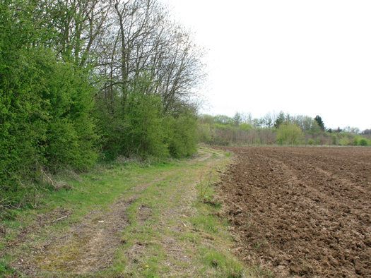 RAF Turweston