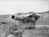 Dover gun Winnie IWM/H/7918.