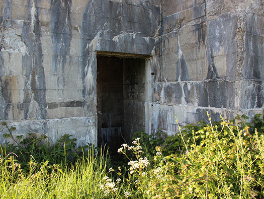 Wn208 Gabelweihe, Pointe aux Oies E. Bttr