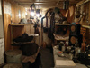 Ro227 Pte de Queille 'Damian'