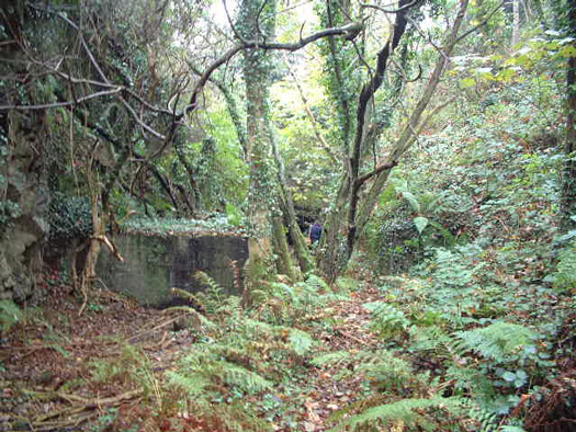 Castel Vendon,  Batterie Française Tourville, (Souterrain).
