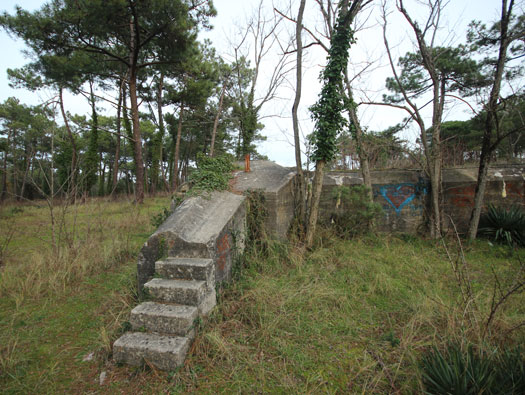 Gi09 Bon Anse 'Cosel' (North site)