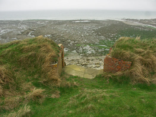StP207 Fischreiher