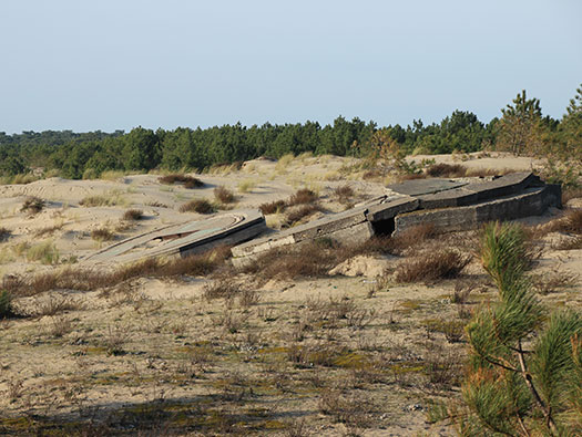 Gi12 'Hamburg', Gironde Nord